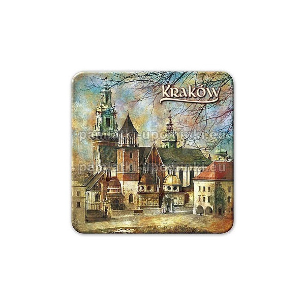 Magnes kadrat Kraków Katedra na Wawelu