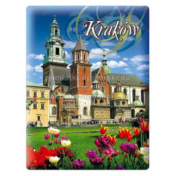 Magnes Kraków - Katedra na Wawelu